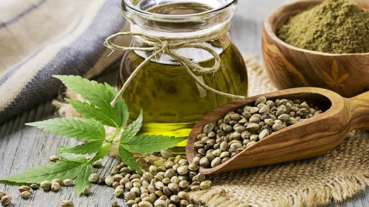 Чим корисна конопляна олія холодного віджиму?